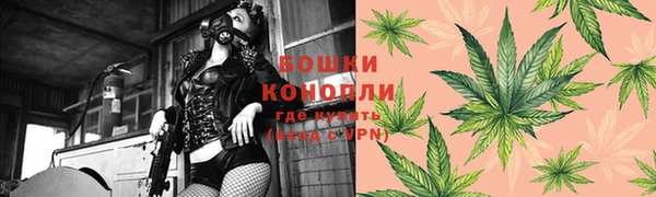 стафф Бронницы
