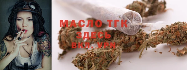 СК Сафоново