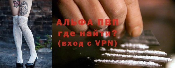 прущие грибы Бородино