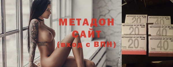 прущие грибы Бородино