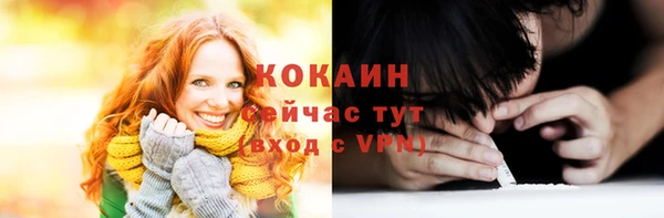 прущие грибы Бородино