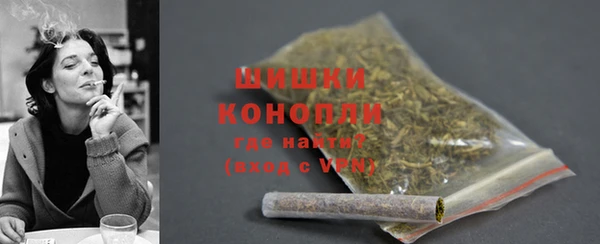 прущие грибы Бородино