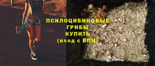 наркотики Белокуриха