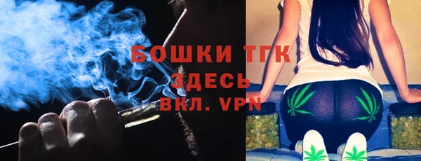 прущие грибы Бородино