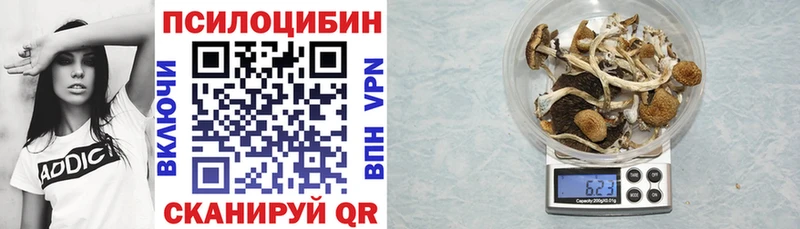 Галлюциногенные грибы Psilocybine cubensis Зерноград